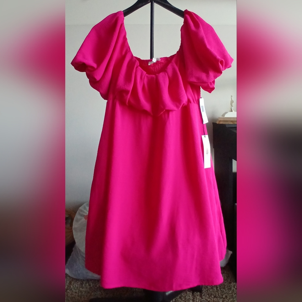 ✨️Women L Pink Dress✨️ NWT!!!